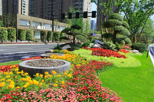 園冶杯專業(yè)獎:新塘路(新風路-新業(yè)路)綜合整治工程景觀綠化Ⅰ標段