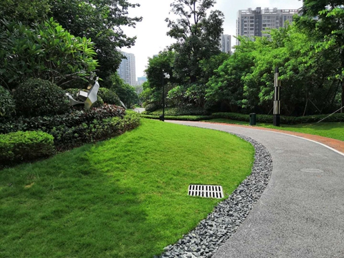 園冶杯專業獎:泰豐花園一期A標段展示區園林景觀工程