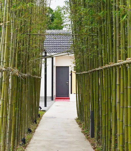 園冶杯專業(yè)獎(jiǎng)：上海川沙馨廬精品民宿景觀設(shè)計(jì)