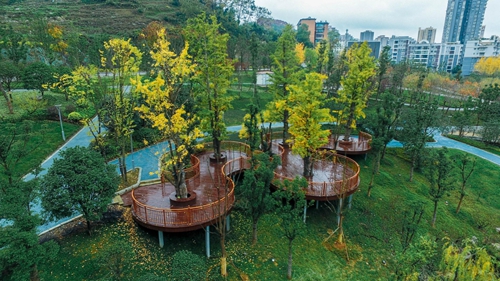 園冶杯專業獎：忠莊河、劍江路景觀提升改造及環境綜合整治工程