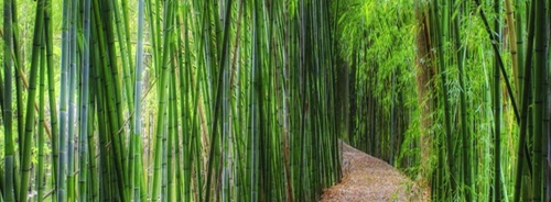 AECOM：廣西陽朔悅榕莊酒店景觀設計