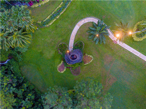 園冶杯專業獎：the Orchid