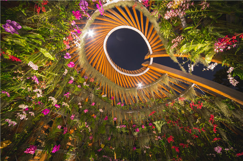 園冶杯專業獎：the Orchid