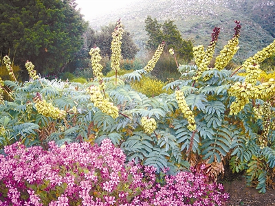 南非經驗:以自然為基礎應對水危機