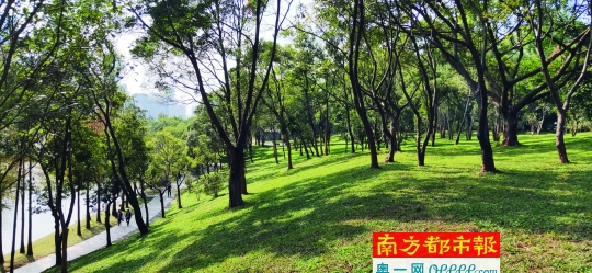 深圳這樣改造提升6大市屬公園顏值