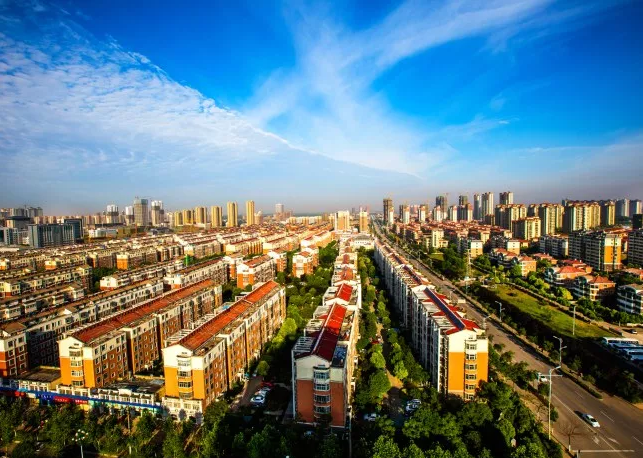 楊保軍：用文化激活城市發展