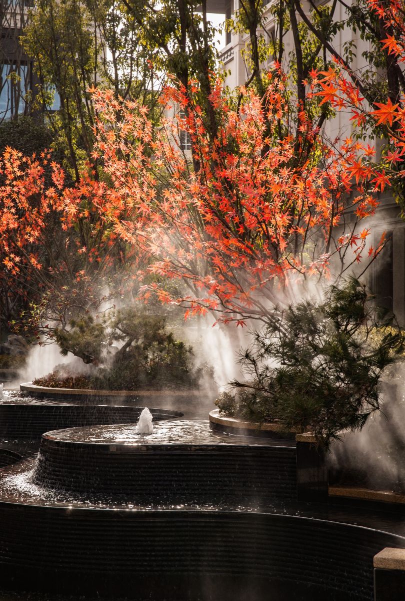 園冶杯大獎獲得者虞金龍:用匠心精神做設(shè)計