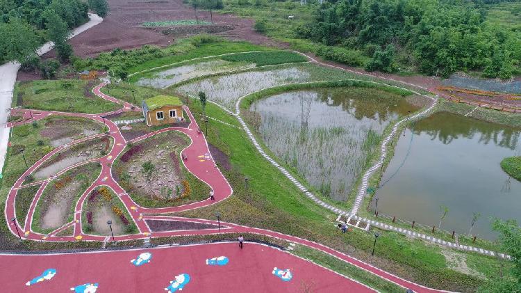 悅來試點海綿城市建設 三大亮點可以“復制”