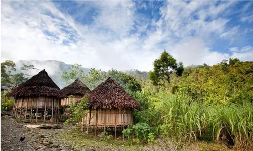 都市圈時代來了，鄉(xiāng)村振興的重大利好消息！