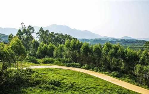 都市圈時代來了，鄉(xiāng)村振興的重大利好消息！