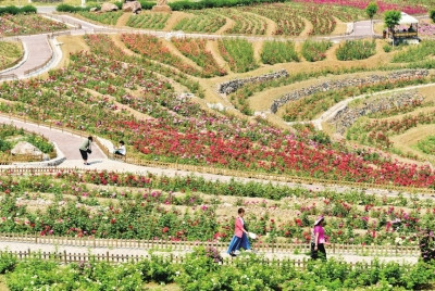 北京市鄉(xiāng)村振興戰(zhàn)略規(guī)劃（2018-2020年）解讀