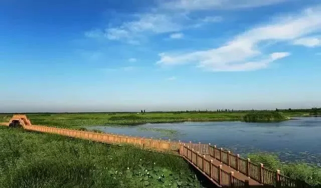 1500畝示范區(qū)！雄安新區(qū)這一項(xiàng)目最新進(jìn)展