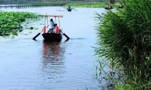 1500畝示范區(qū)！雄安新區(qū)這一項(xiàng)目最新進(jìn)展