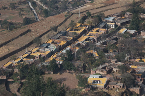 黃大莊：鄉(xiāng)村振興戰(zhàn)略背景下景觀建設(shè)及植物應(yīng)用思考