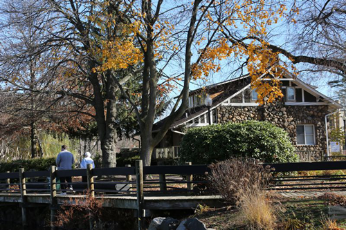 黃大莊：鄉(xiāng)村振興戰(zhàn)略背景下景觀建設(shè)及植物應(yīng)用思考