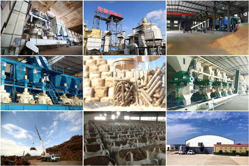 中國生物質(zhì)顆粒大會為行業(yè)帶來了什么？