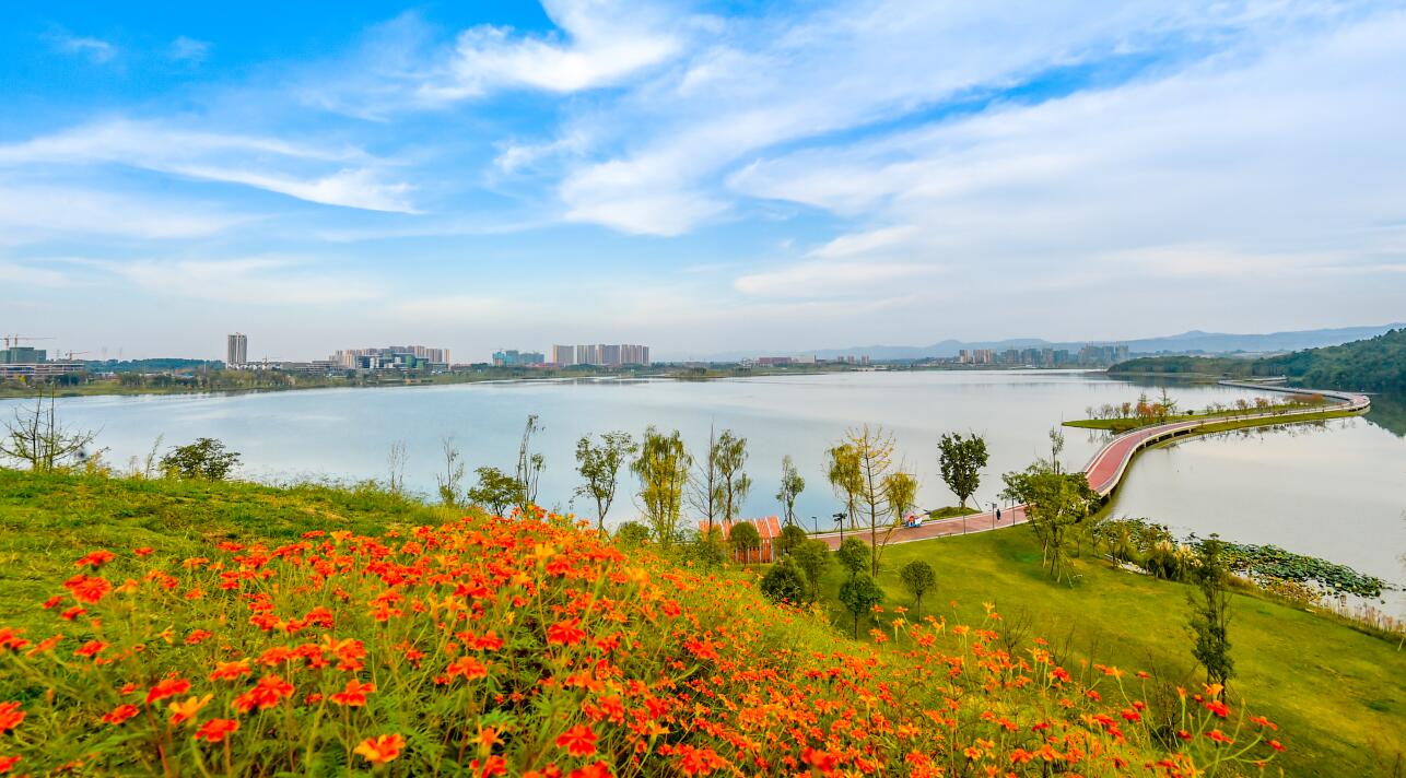 建設公園城市有何意義?賀克斌院士這樣說