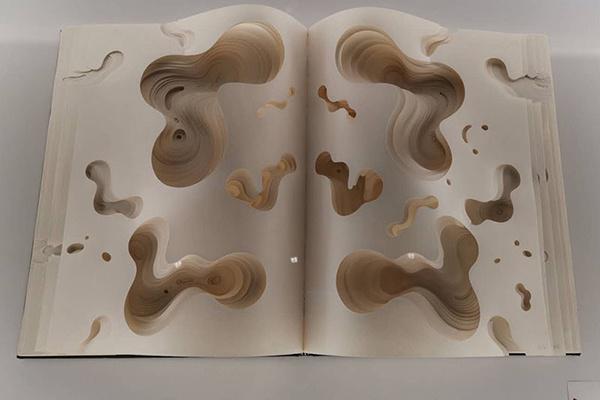 從威尼斯雙年展中國館看“園林”