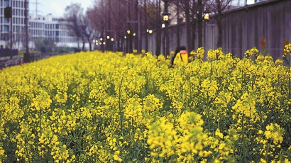 共治的景觀，讓社區更美好