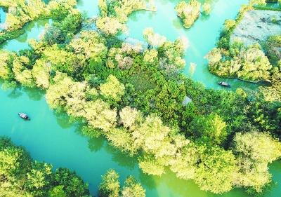 濕地保護，要景觀設計更要野花野草