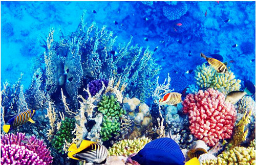 生物多樣性,讓你的景觀設計更有活力