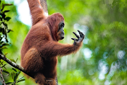 生物多樣性,讓你的景觀設計更有活力