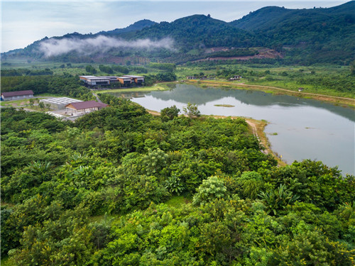 生物多樣性,讓你的景觀設計更有活力