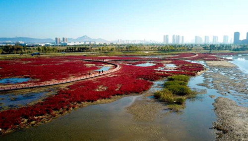 生物多樣性,讓你的景觀設計更有活力