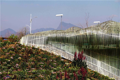 生物多樣性,讓你的景觀設計更有活力