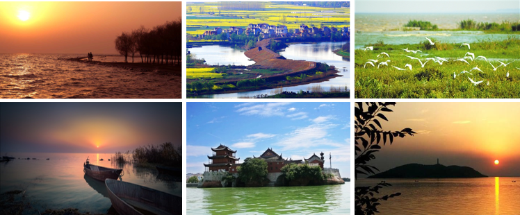 當(dāng)代濱水景觀——景觀與生態(tài)共生