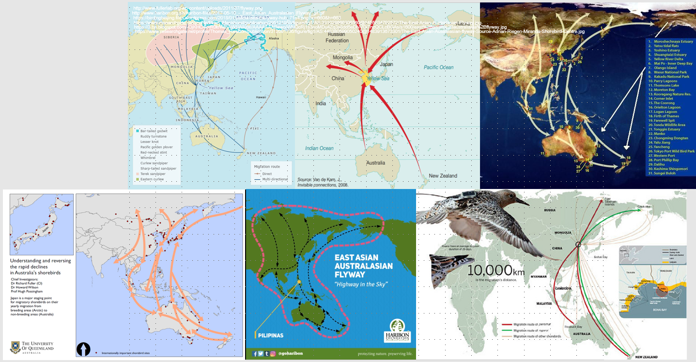 當(dāng)代濱水景觀——景觀與生態(tài)共生
