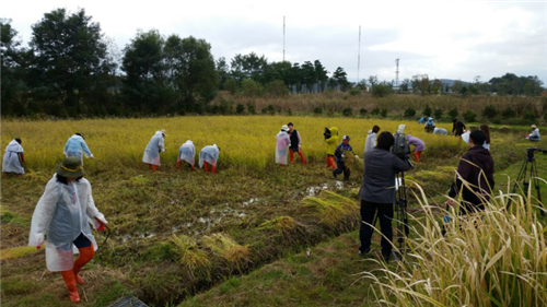 當(dāng)代濱水景觀——景觀與生態(tài)共生