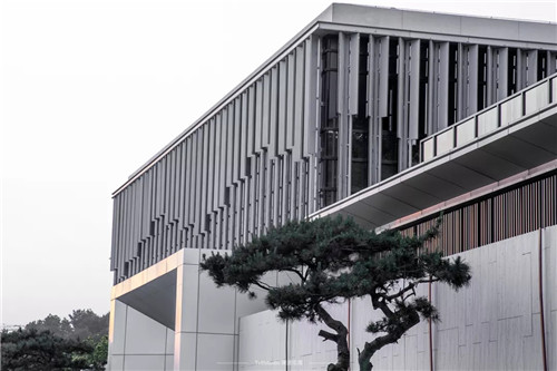 打造夢想中的自然棲息地丨浙江龍湖坤和·天境