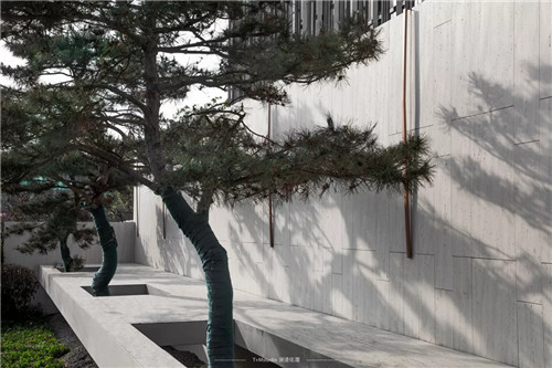 打造夢想中的自然棲息地丨浙江龍湖坤和·天境