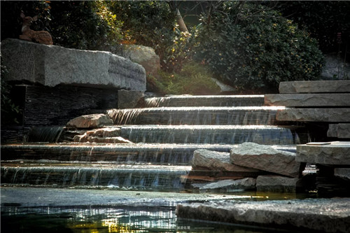 打造夢想中的自然棲息地丨浙江龍湖坤和·天境