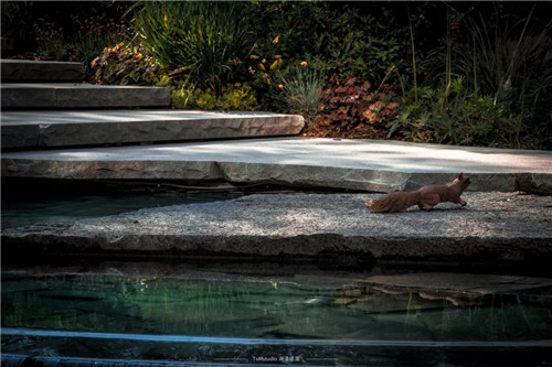 打造夢想中的自然棲息地丨浙江龍湖坤和·天境