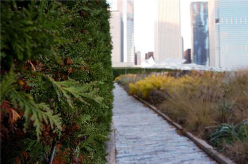 埃菲爾鐵塔周邊將改造為大花園,由哪位大師設計?