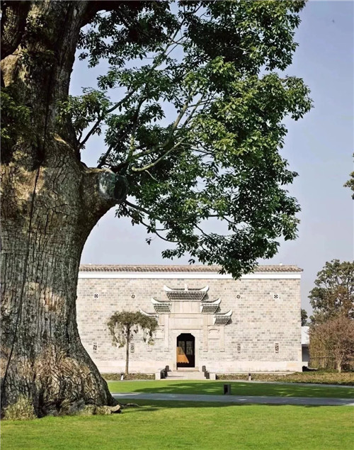 奧德分享丨2019亞洲10所最佳酒店設計