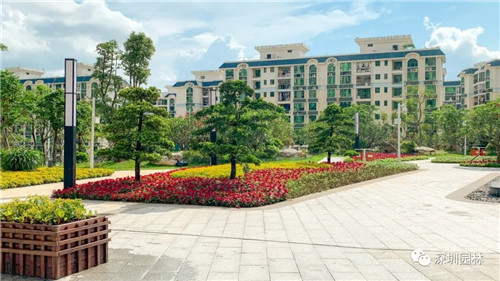 雖然這是座醫院,但景觀美的不像話!