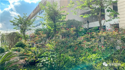 雖然這是座醫院,但景觀美的不像話!