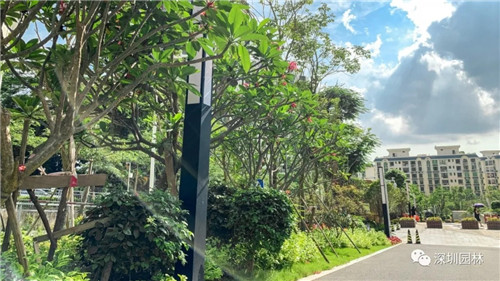 雖然這是座醫院,但景觀美的不像話!