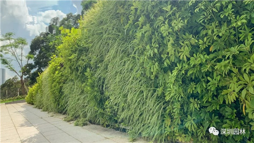 雖然這是座醫院,但景觀美的不像話!