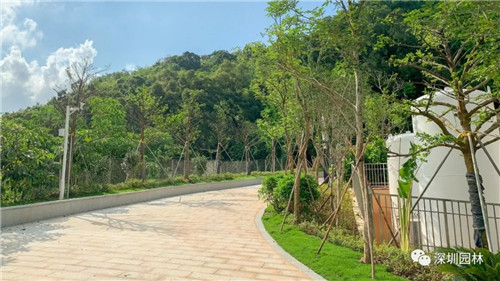 雖然這是座醫院,但景觀美的不像話!