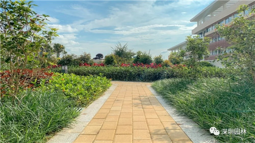 雖然這是座醫院,但景觀美的不像話!