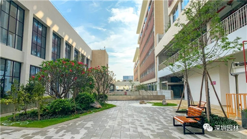 雖然這是座醫院,但景觀美的不像話!