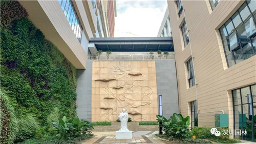 雖然這是座醫院,但景觀美的不像話!