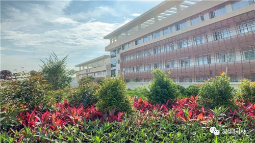 雖然這是座醫院,但景觀美的不像話!