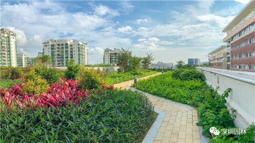 雖然這是座醫院,但景觀美的不像話!