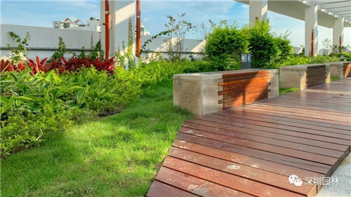 雖然這是座醫院,但景觀美的不像話!