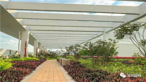 雖然這是座醫院,但景觀美的不像話!